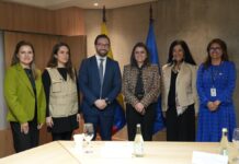 Referéndum y consulta popular: Misión de Observación Electoral de la OEA se reunió con María José Pinto, presidenta encargada | Política | Noticias