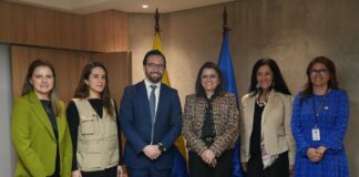 Referéndum y consulta popular: Misión de Observación Electoral de la OEA se reunió con María José Pinto, presidenta encargada | Política | Noticias