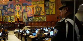 Niels Olsen prepara su licencia para ir a la campaña del referéndum y consulta popular | Política | Noticias