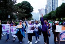 Colectivos feministas se movilizan en Quito por el Día Internacional de la eliminación de la violencia contra la mujer | Política | Noticias