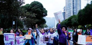 Colectivos feministas se movilizan en Quito por el Día Internacional de la eliminación de la violencia contra la mujer | Política | Noticias