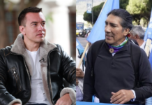 Daniel Noboa a Yaku Pérez: “Le invito a hacer una marcha contra la minería ilegal, ¿por qué no lo hace?» | Política | Noticias