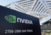 Nvidia promete más recompras de acciones espoleada por el impacto de sus resultados | Economía