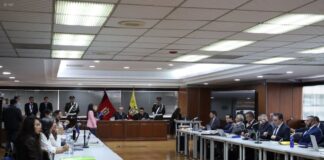 ¿En qué consiste el delito de lesa humanidad, por el cual se investiga el caso Vaca-Cajas-Jarrín, integrantes del desaparecido grupo Alfaro Vive Carajo? | Política | Noticias