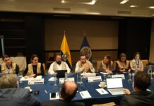 Misión de observación de la OEA mantuvo reuniones con organizaciones que respaldan el sí y el no en el referéndum y consulta popular | Política | Noticias