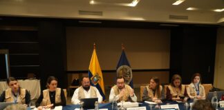 Misión de observación de la OEA mantuvo reuniones con organizaciones que respaldan el sí y el no en el referéndum y consulta popular | Política | Noticias