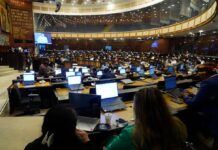 Asamblea Nacional sin servicio de correo electrónico y sistema de gestión integrada | Política | Noticias