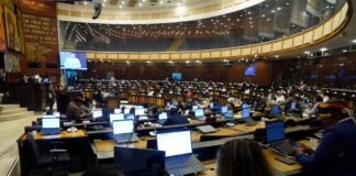 Asamblea Nacional sin servicio de correo electrónico y sistema de gestión integrada | Política | Noticias