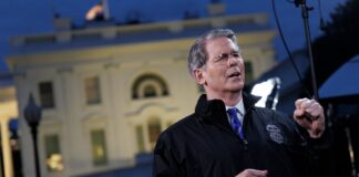 ‘Make the Dollar Great Again’: Trump impulsa una nueva dolarización | Economía