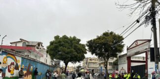 El voto joven busca protagonismo en la jornada electoral para el referéndum y consulta popular | Política | Noticias