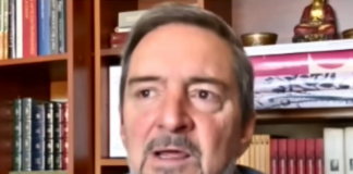 ¿Quién es Felipe Vega de la Cuadra, el nombre que suena para liderar el correísmo en lugar de Luisa González? | Política | Noticias