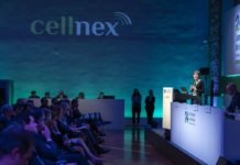 Cellnex retribuirá con 1.000 millones a sus accionistas, mediante dividendo y recompra de títulos | Empresas