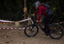 El Govern organiza la captura de posibles jabalíes infectados por la peste porcina en Collserola | Noticias de Cataluña