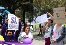 Concentraciones por el sí y el no al referéndum y la consulta abrieron el primer día de campaña | Política | Noticias