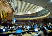 Asambleístas en campaña: el 76 % de los legisladores pidió licencia sin sueldo para promocionar el sí y el no en la consulta popular | Política | Noticias