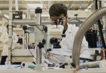 Back Market : La empresa que factura 3.000 millones de euros vendiendo móviles de segunda mano | Negocios