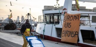 Los pescadores españoles bloqueados por la normativa europea: “Queremos que nos dejen trabajar, no subsidios” | Noticias de Cataluña