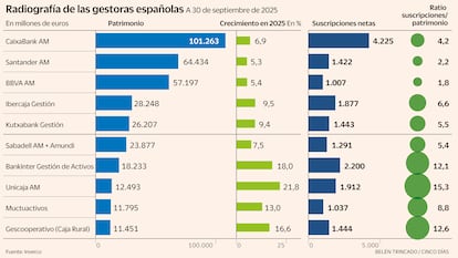 Radiografía de las gestoras españolas Gráfico