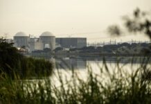 Nucleares, ¿sí, gracias? | Economía
