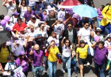 Cada una por su lado, ADN y otras organizaciones hacen campaña por el sí para el referéndum y consulta popular