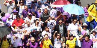 Cada una por su lado, ADN y otras organizaciones hacen campaña por el sí para el referéndum y consulta popular