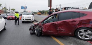 Tolerancia cero: conductores novatos no podrán tener ni una gota de alcohol en la sangre mientras conducen un vehículo, según nuevas reformas al COIP | Política | Noticias