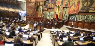 Resultados de la consulta popular: bancadas legislativas señalan que la ciudadanía se hartó y dio un mensaje no solo al Gobierno | Política | Noticias