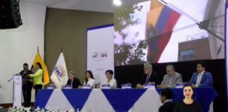 CNE inaugura la votación en el exterior de la consulta popular de Ecuador | Política | Noticias