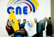 Asesoría de la OEA podría ser una opción para regular la campaña electoral en redes sociales | Política | Noticias