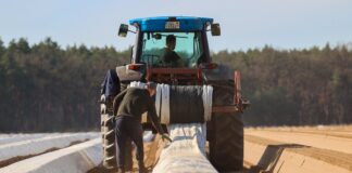 Alemania restablece los subsidios al gasóleo agrícola tras las fuertes protestas del sector | Economía