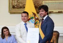 Daniel Noboa incluye tres nombres más a la lista de posibles constituyentes: José de la Gasca, Nataly Morillo y Jaime Vela, excomandante de las Fuerzas Armadas | Política | Noticias