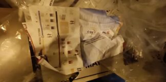 Material electoral del referéndum y consulta que se usó para protegerse de la lluvia en el Quitofest era ‘desecho’, explica director del CNE en Pichincha | Política | Noticias