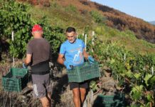 Más que una feria sobre el campo | Negocios