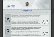 Consejo Nacional Electoral aclara que papeletas marcadas iban a ser usadas para capacitación y eran llevadas a la delegación de Pichincha | Política | Noticias