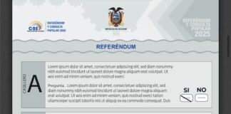 Consejo Nacional Electoral aclara que papeletas marcadas iban a ser usadas para capacitación y eran llevadas a la delegación de Pichincha | Política | Noticias