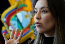 Mishel Mancheno, jefa de bancada de ADN: Para hacer cambios constitucionales, la enmienda constitucional está sobre la mesa | Política | Noticias