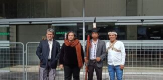 Juez dispone el desbloqueo de cuentas de tres colectivos de la Amazonía, tras ser congeladas durante el paro | Política | Noticias