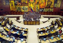 Este 26 de noviembre, la Asamblea Nacional debatirá reformas sobre evaluación y estabilidad de servidores públicos, que constaban en la Ley de Integridad | Política | Noticias