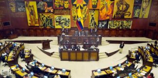 Este 26 de noviembre, la Asamblea Nacional debatirá reformas sobre evaluación y estabilidad de servidores públicos, que constaban en la Ley de Integridad | Política | Noticias