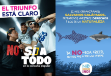 Consulta popular y referéndum: la propaganda se adelantó en redes sociales y seguirá sin regulación