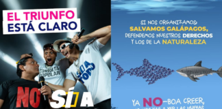 Consulta popular y referéndum: la propaganda se adelantó en redes sociales y seguirá sin regulación