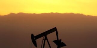 La OPEP+ mantiene sin cambios su oferta de petróleo | Economía