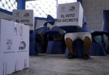 ‘Si bien la reducción de asambleístas tiene aceptación, el rechazo al paquete de preguntas del Gobierno fue mayor’: el no ganó con un 53,5 % en el referéndum | Informes | Noticias