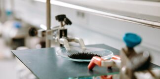 La empresa española que revoluciona la producción de biogás | Economía