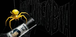 Aracnofobia, nueva agencia creativa de Carmencita