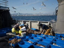 El Consejo de la UE negocia contra reloj las cuotas de pesca para 2026 | Economía