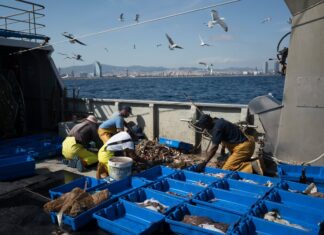 La UE aprueba que los pescadores del Mediterráneo puedan faenar más de 140 días en 2026 | Economía