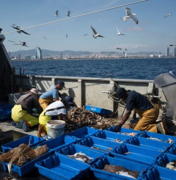 La UE aprueba que los pescadores del Mediterráneo puedan faenar más de 140 días en 2026 | Economía