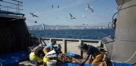 La UE aprueba que los pescadores del Mediterráneo puedan faenar más de 140 días en 2026 | Economía
