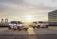 El automóvil busca ‘democratizar’ el eléctrico con coches por debajo de 25.000 euros para competir con China | Economía